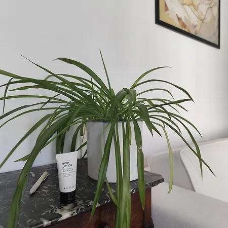 Avea - Accessible Downtown Retreat Near Hofgarten Homestay Augsburg